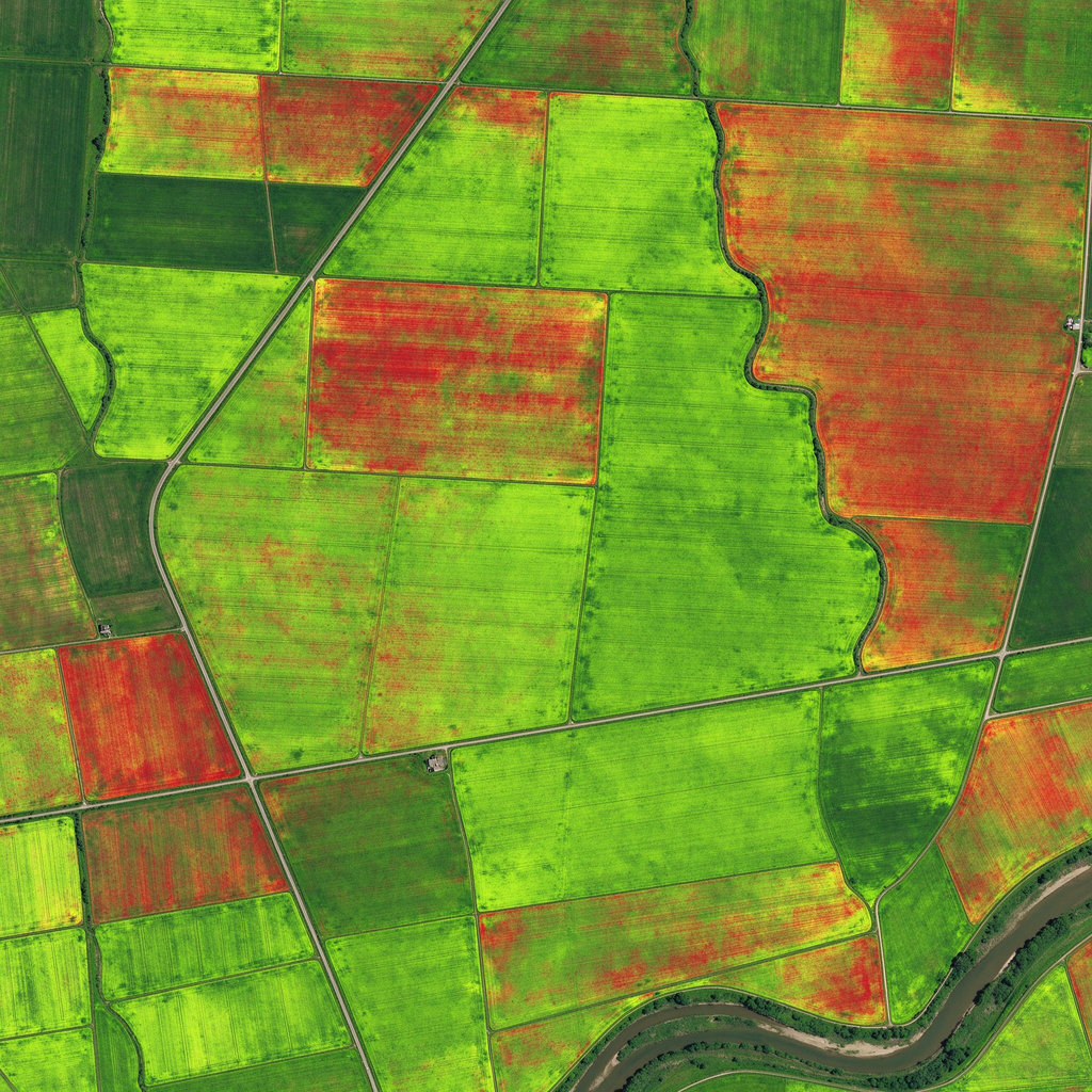 Multispectral NDVI crop-health map